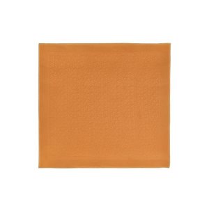 Echarpes Longchamp Shawl Saffron Other Orange | 23768-SQJA
