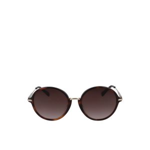 Lunettes de Soleil Longchamp Havana Marron | 15932-ALVS